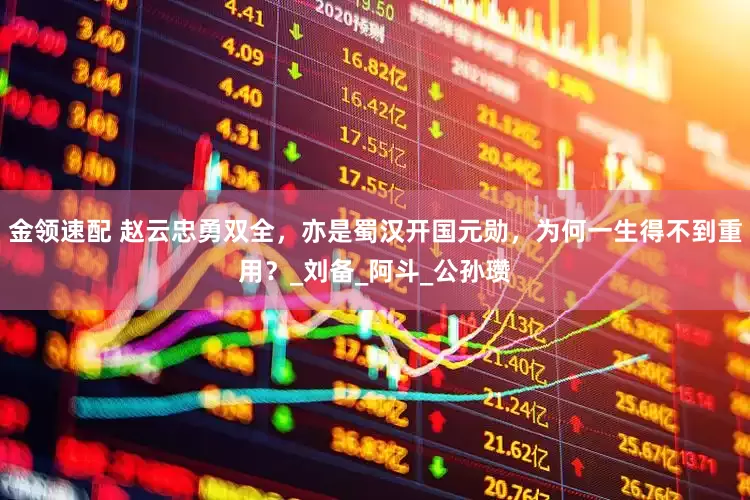 金领速配 赵云忠勇双全，亦是蜀汉开国元勋，为何一生得不到重用？_刘备_阿斗_公孙瓒