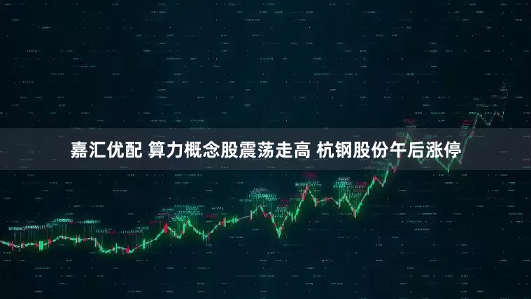嘉汇优配 算力概念股震荡走高 杭钢股份午后涨停