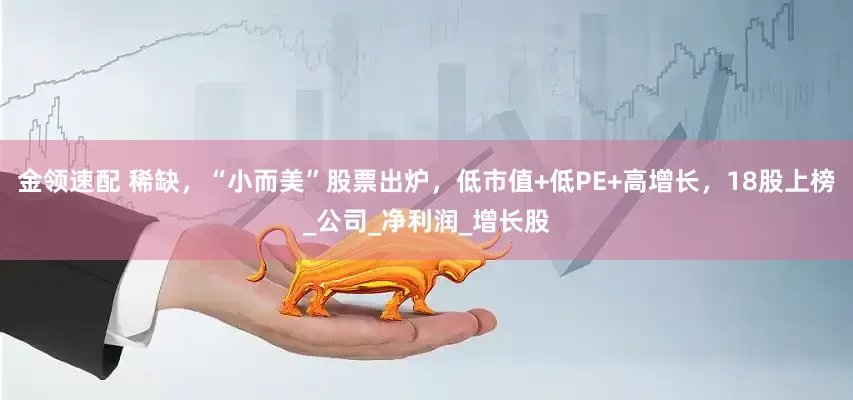 金领速配 稀缺，“小而美”股票出炉，低市值+低PE+高增长，18股上榜_公司_净利润_增长股