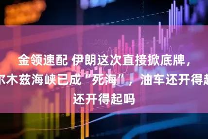 金领速配 伊朗这次直接掀底牌，霍尔木兹海峡已成“死海”，油车还开得起吗